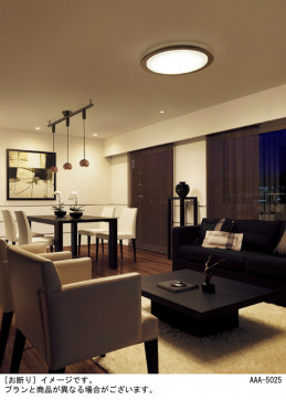 Panasonic �ڥ����� LGB16795LE1 �̿�6