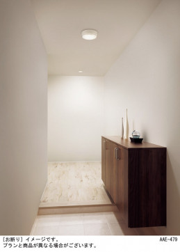 Panasonic 󥰥饤 LGBC55010LE1 ̿1