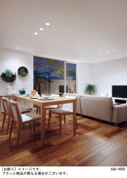 Panasonic 饤 LGD1100LQ1 ̿6