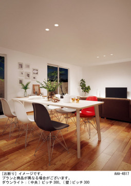 Panasonic ������饤�� LGD3101NLB1 �̿�2