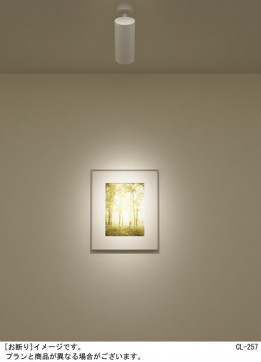 Panasonic ���ݥåȥ饤�� LGS1023LU1 �̿�6