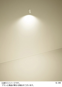 Panasonic ���ݥåȥ饤�� LGS3004LU1 �̿�5