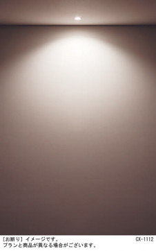 Panasonic ƥꥢ饤 LRD1011LLE1 ̿4