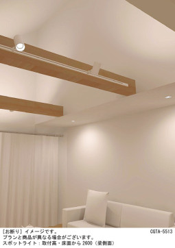 Panasonic ���ݥåȥ饤�� LSEB6113KLE1 �̿�3