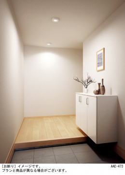 Panasonic ������󥰥饤�� LSEBC2020LE1 �̿�1