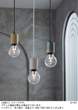 Panasonic �ڥ����ȥ饤�� LGB16811 �̿�2