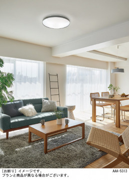 Panasonic ������󥰥饤�� LGC21166 �̿�2