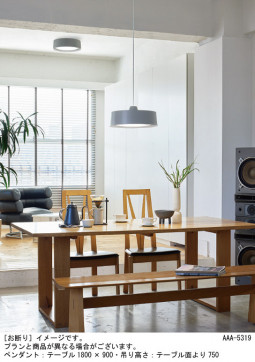 Panasonic ������󥰥饤�� LGC21184 �̿�4