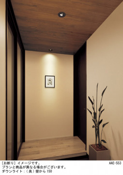 Panasonic ������饤�� LGDC1107LLE1 �̿�1