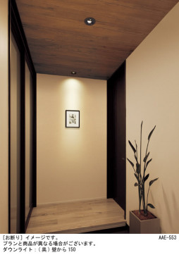 Panasonic ������饤�� LGDC1107VLE1 �̿�1