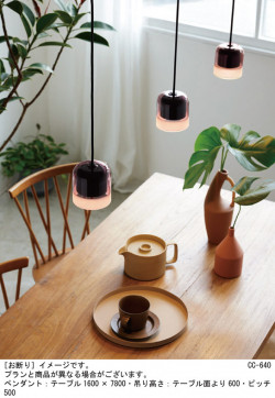 Panasonic ڥȥ饤 XLGB1855CE1 ̿1