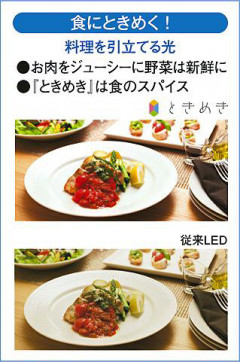  | DAIKO ŵ ֥饱å DBK-40426W