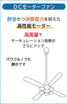  | DAIKO ŵ 󥰥ե DP-41043