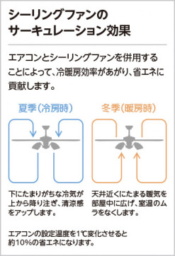 ODELIC ǥå 󥰥ե WF237P1 ̿3