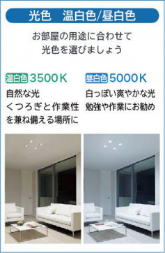 �����|DAIKO ����ŵ� LED������饤�� DDL-5135WW