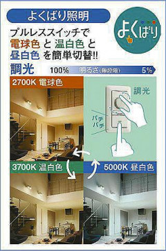 |DAIKO ŵ LEDإ饤 DDL-6268FWG