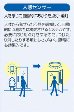 |DAIKO ŵ LEDʹ󥵡ե֥饱å DWP-42479Y