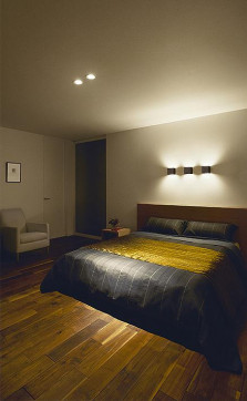 ܹ|DAIKO ŵ LED֥饱å DBK-40896Y