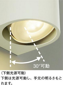 ͼ̿|DAIKO ŵ LED֥饱å DBK-41133AE