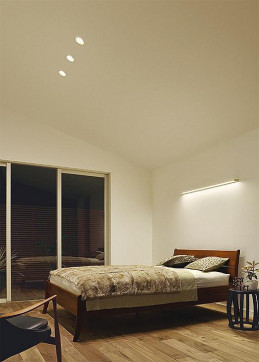 �ܹ���|DAIKO ����ŵ� LED������饤��(��������) DDL-5417YBG