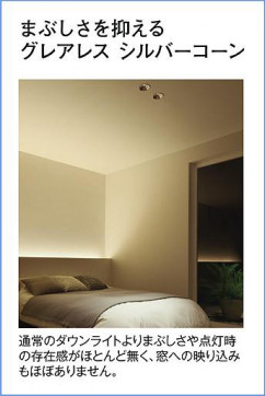 �����|DAIKO ����ŵ� LED������饤��(��������) DDL-5545WBG