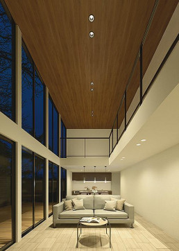 �ܹ���|DAIKO ����ŵ� LED������饤��(��������) DDL-5547YBG