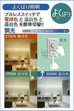 �����|DAIKO ����ŵ� LED���������إ�����饤�� DDL-5575FBG