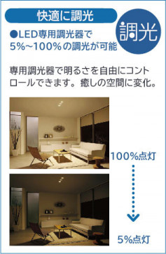 �����|DAIKO ����ŵ� LED������饤�� DDL-5623WWG