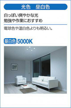 |DAIKO ŵ LEDݥåȥ饤 DSL-5319WW