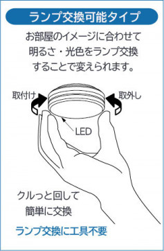 |DAIKO ŵ LEDݥåȥ饤 DSL-5449YBE