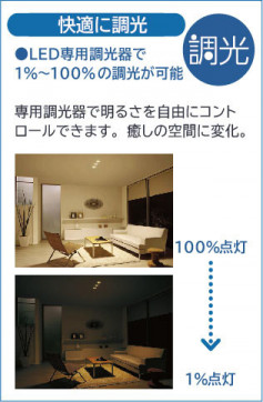 �����|DAIKO ����ŵ� LED�֥饱�å� LZK-91681YTG