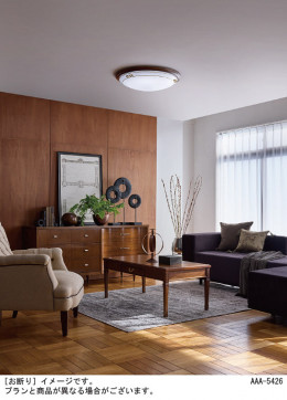 Panasonic ������󥰥饤�� LGC52129 �̿�3