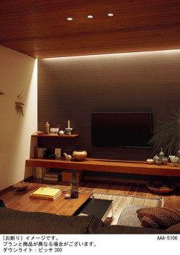 Panasonic ۲ SLB50643LB1 ̿6