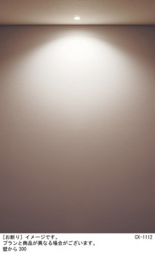 Panasonic ƥꥢ饤 SLR1012LLE1 ̿4