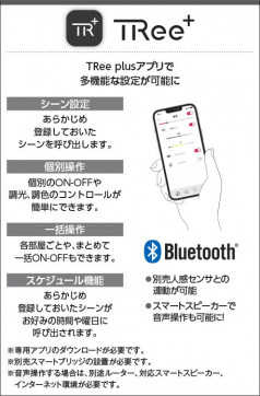 �������� Koizumi �������߾��� ���ޡ��ȥ֥�å� AE54355E