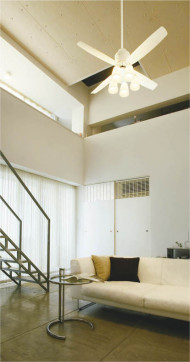 �ܹ���̿� Koizumi �������߾��� ����ƥꥢ�ե������� AEE595029