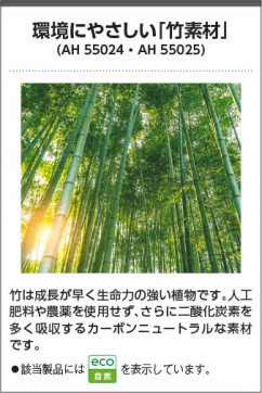 �������� Koizumi �������߾��� LED����������� AH55024