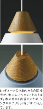 ��ħ�̿� Koizumi �������߾��� LED�ڥ����� AP45523L