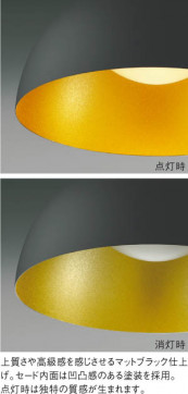 ��ħ�̿� Koizumi �������߾��� LED�ڥ����� AP47491L