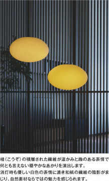 ��ħ�̿� Koizumi �������߾��� LED�����ڥ����� AP55584