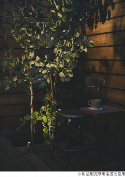 �ܹ���̿� Koizumi �������߾��� LED DC24V�������ƥꥢ���ѥ������ݥå� AU92282