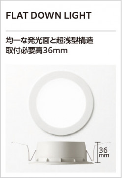 ODELIC �����ǥ�å� ������饤�� OD361679BR �̿�2