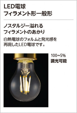 ODELIC �����ǥ�å� �������ƥꥢ�饤�� OG254634LC2 �̿�1