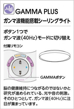 ODELIC �����ǥ�å� ������󥰥饤�� OL291561GR �̿�5