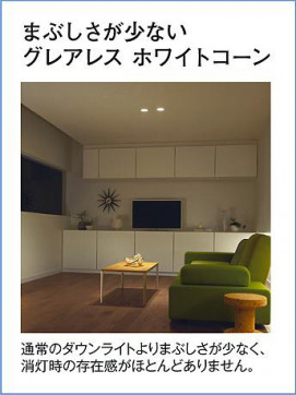 �����|DAIKO ����ŵ� LED������饤��(��������) DDL-5546AWG