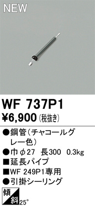 ODELIC ǥå 󥰥ե WF737P1 ᥤ̿