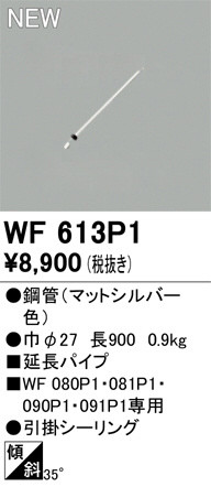 ODELIC ǥå 󥰥ե WF613P1 ᥤ̿