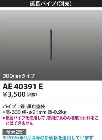 ���β��� Koizumi �������߾��� ����ƥꥢ�ե����Ĺ�ѥ��� AE40391E