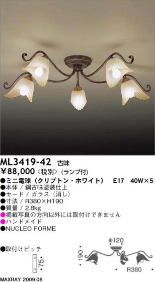 ޥå쥤 MAXRAY ǥꥢ ML3419-42