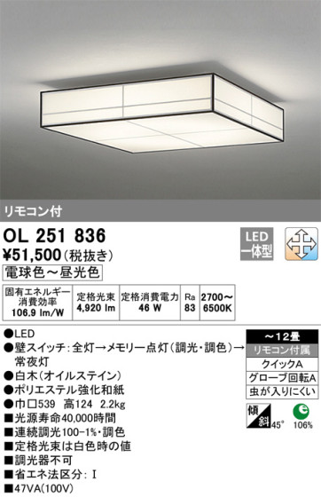 ODELIC ǥå 󥰥饤 OL251836 ᥤ̿